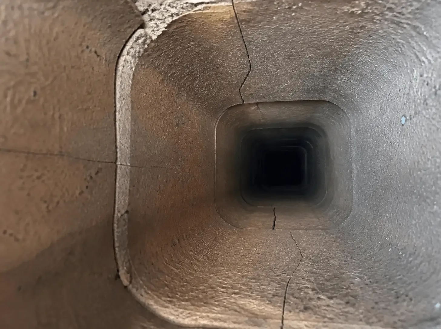 Animal Nesting Risks in Open Chimneys